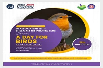 A Day For Birds