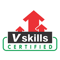 VSkills