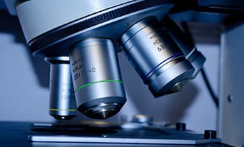 School of Health & Allied Science